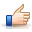 Thumbs Up Icon